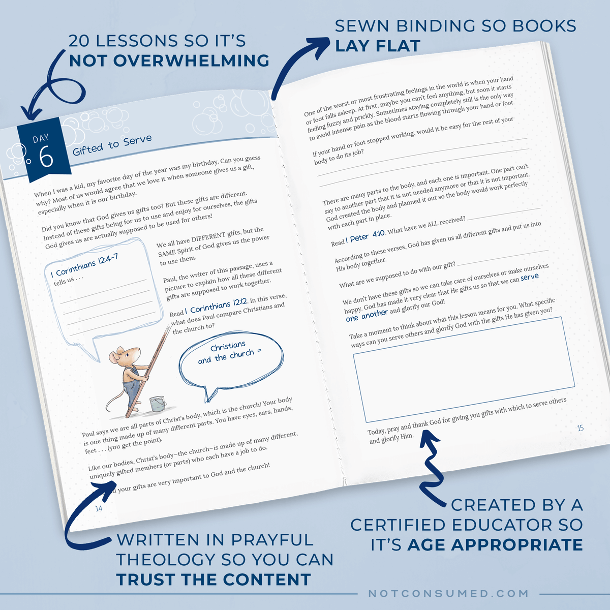Becoming a Servant descriptive features