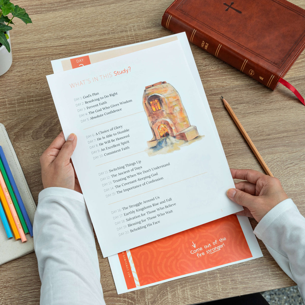 Fired Up!: A Bible Study on the book of Daniel (Digital)