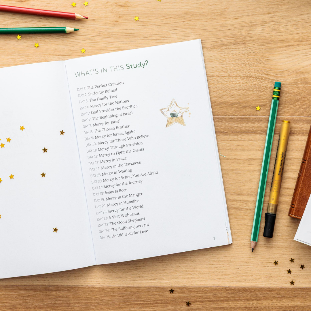 What's in the Christmas Bible study
