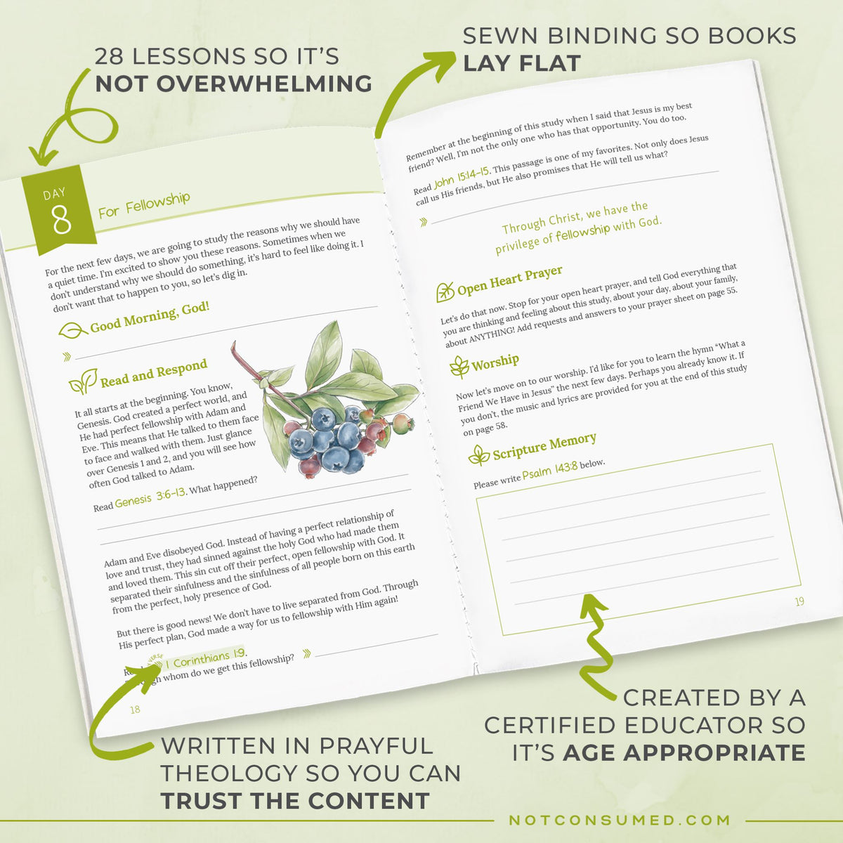 Developing A Quiet Time Bible study features