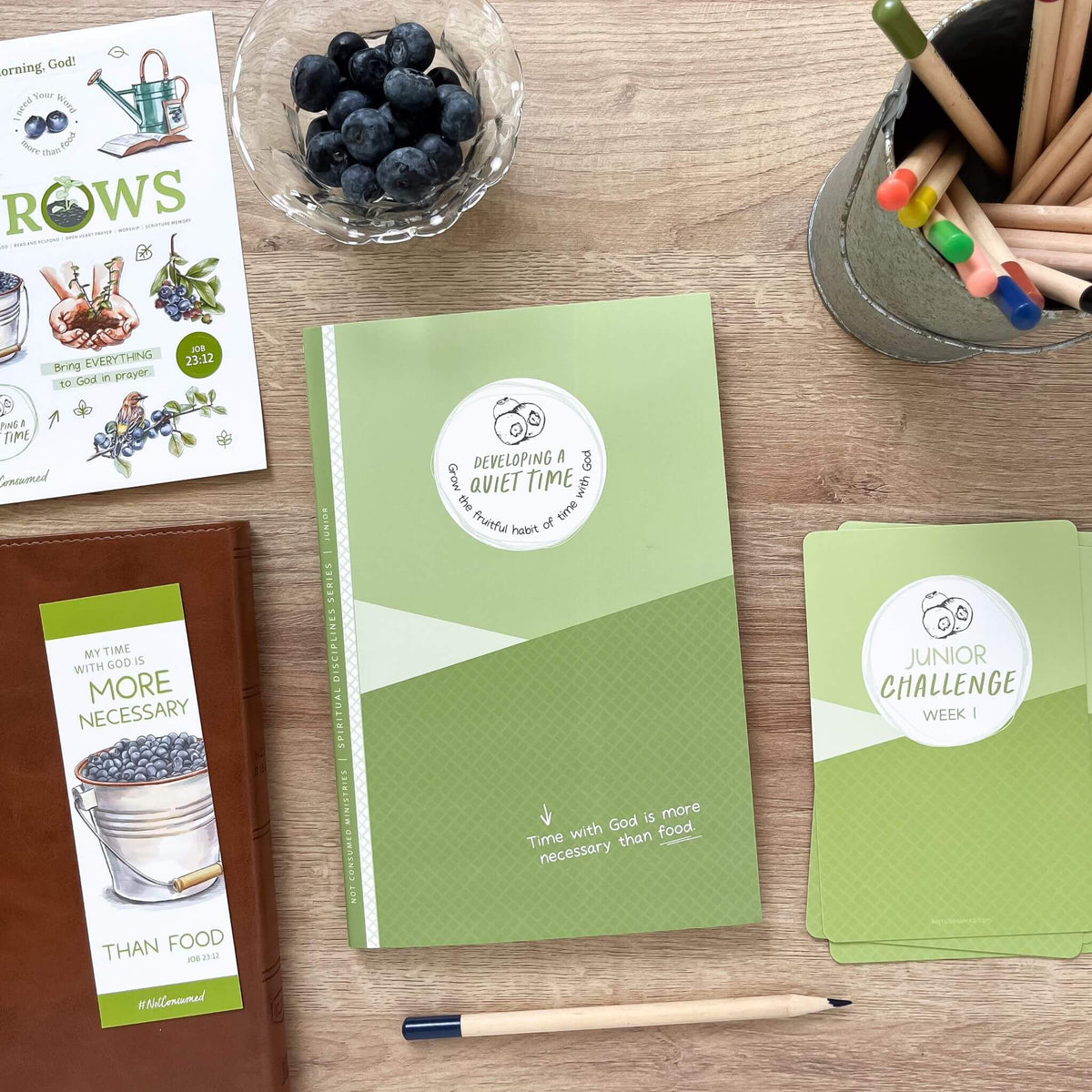 Developing A Quiet Time Bible study for kids
