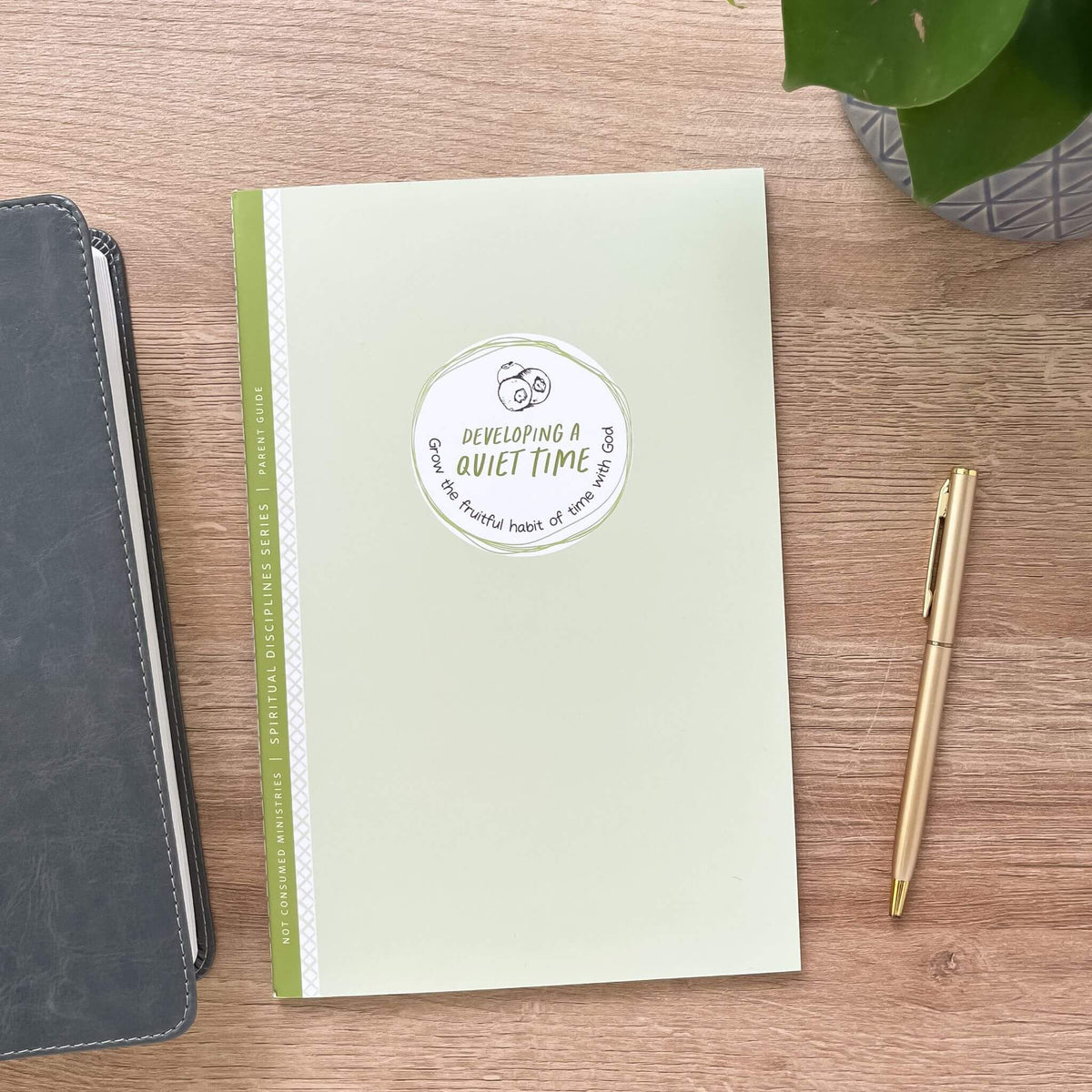 Developing A Quiet Time Bible study parent guide