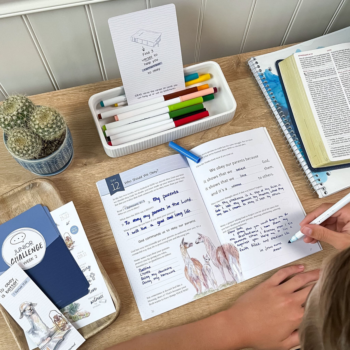 Obey Bible study for kids and teens