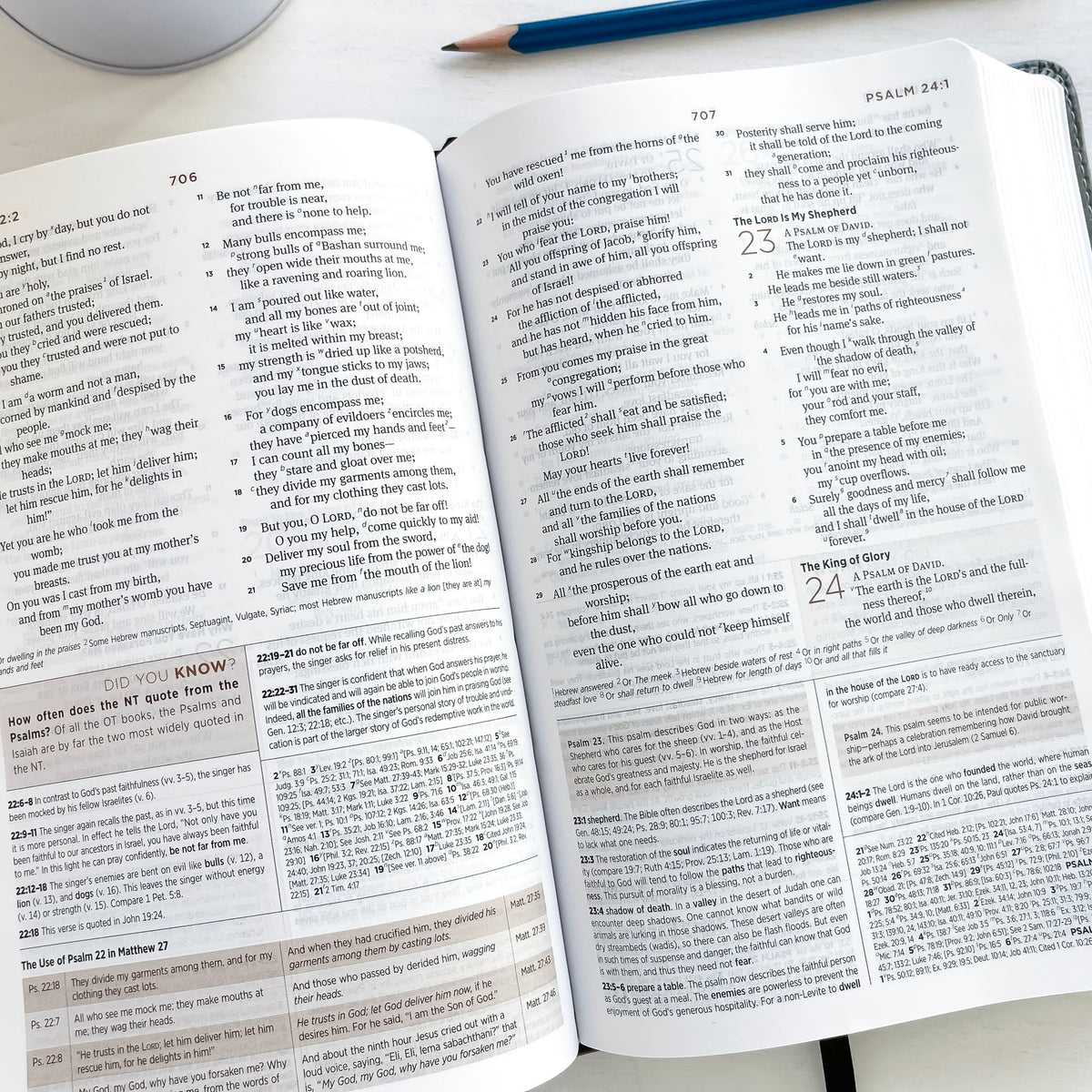 ESV Gray Study Bible Book of Psalm