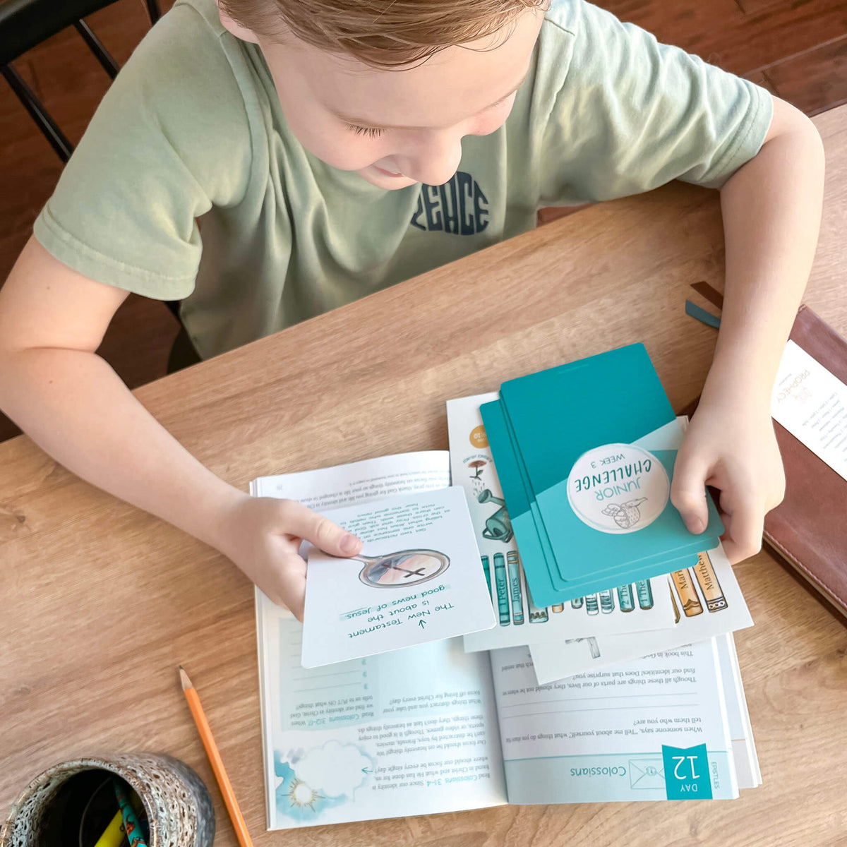 God's Story New Testament Bible Study child learning