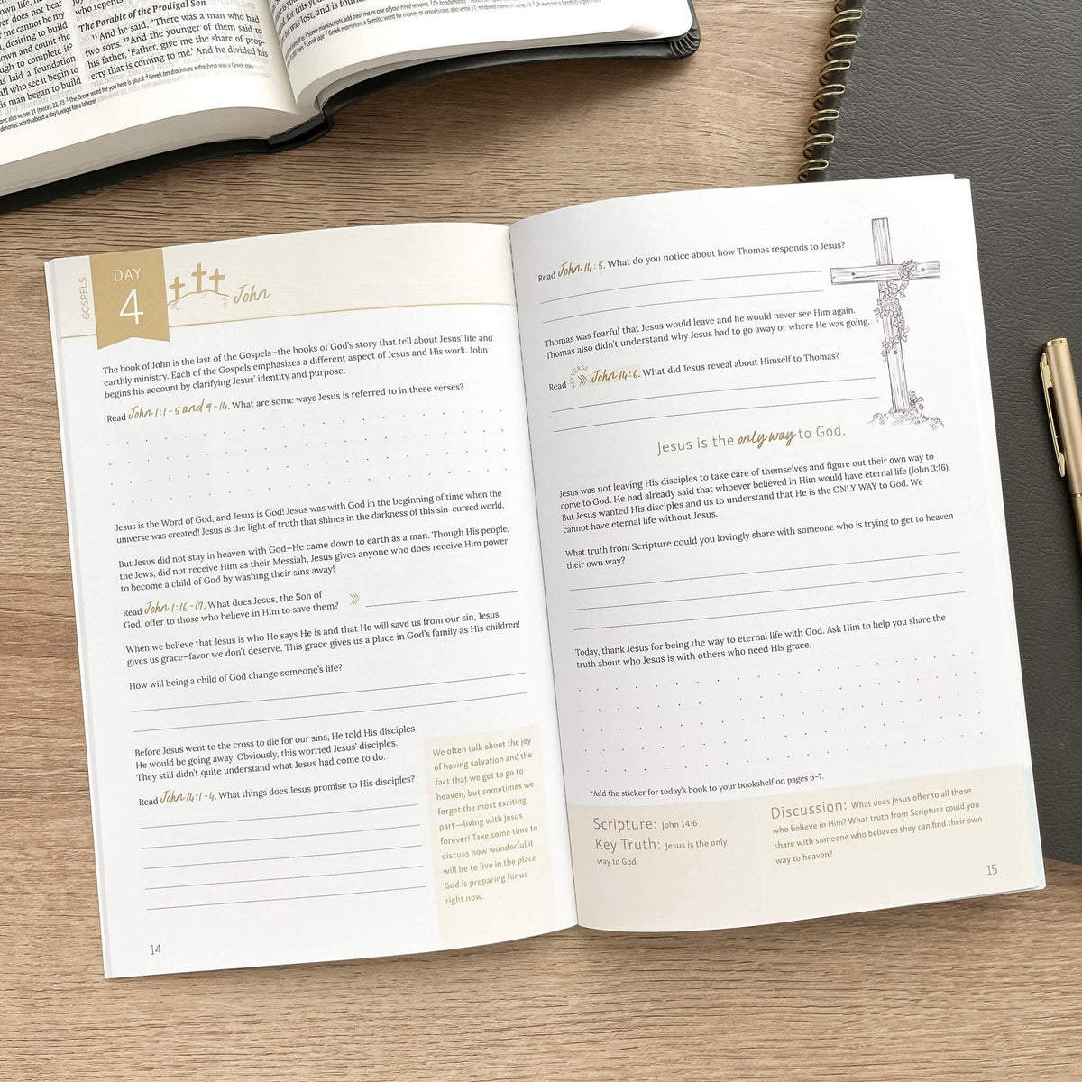 God's Story New Testament Bible Study Parent Guide