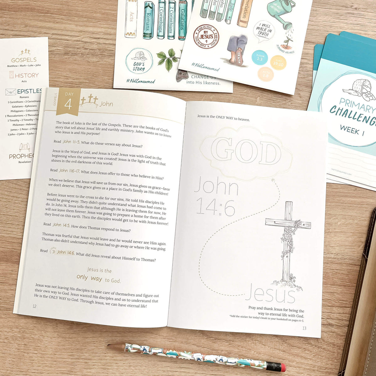 God's Story New Testament Childrens Bible Study