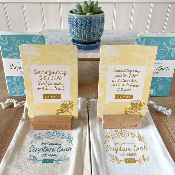 Foundation Verses Mini Scripture Cards - Bored and Busy Mama