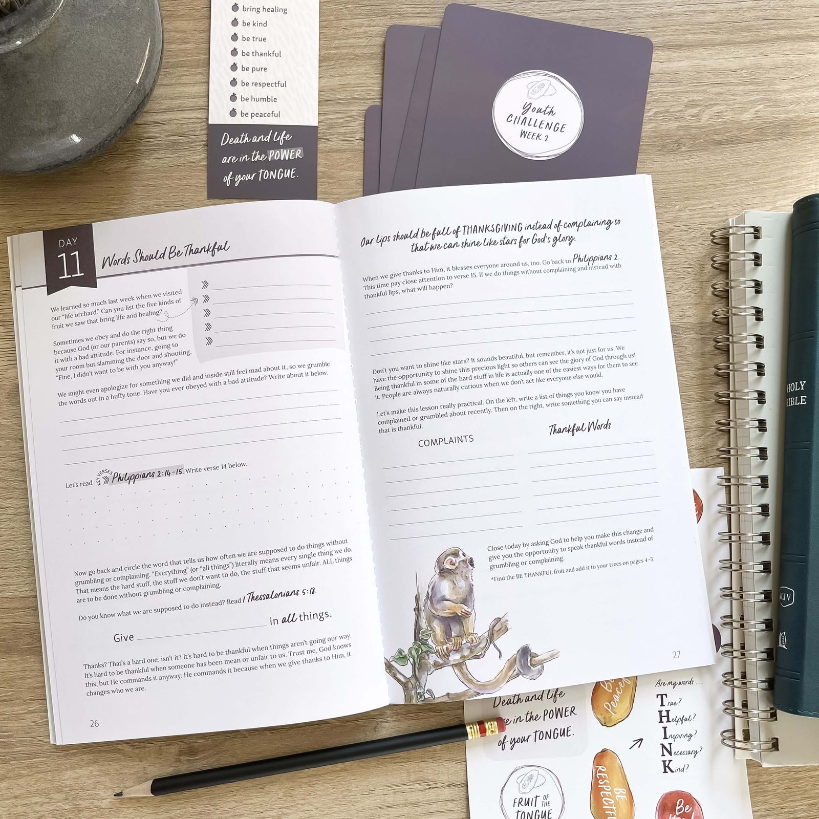 Fruit of the Tongue Bible study for Teens