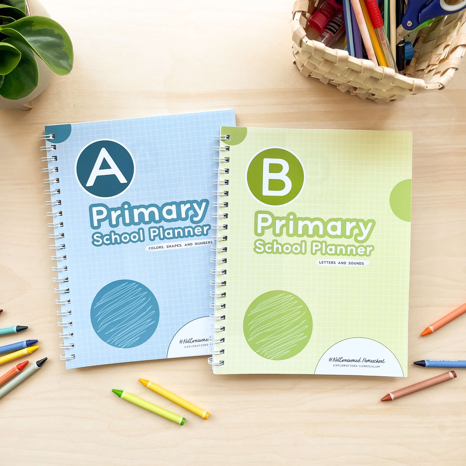 Primary student planners