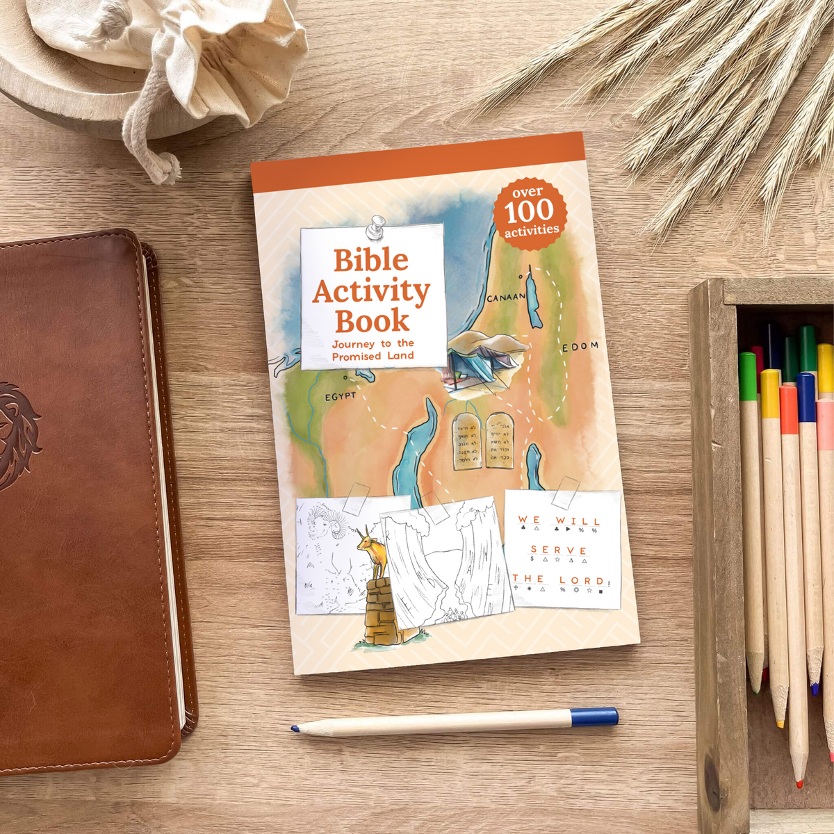 Learn about the Bible with fun acivities