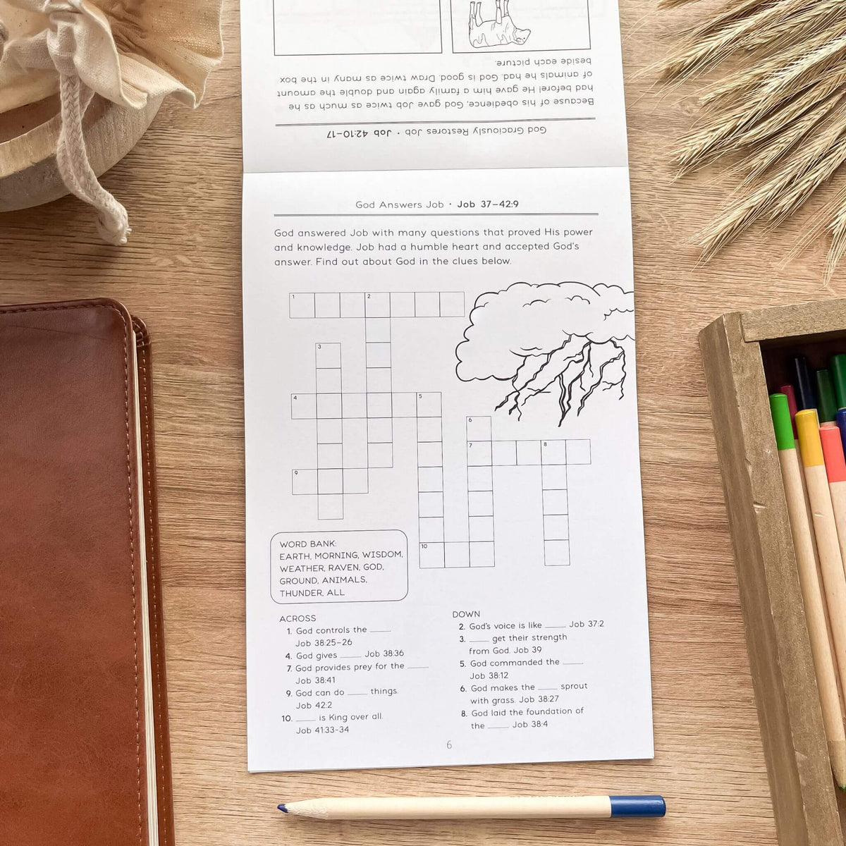 Bible Activity Book: Covenant to the Law