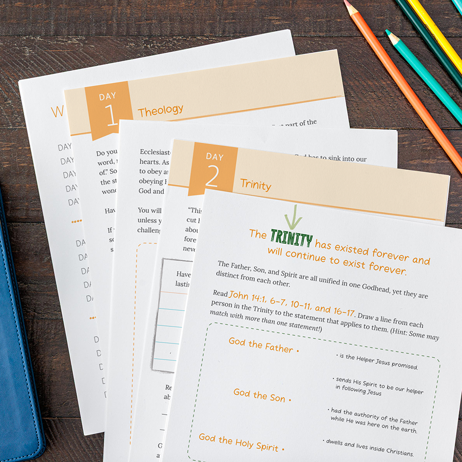 Book titled 'Bible Basics Theology for Kids' on a wooden surface