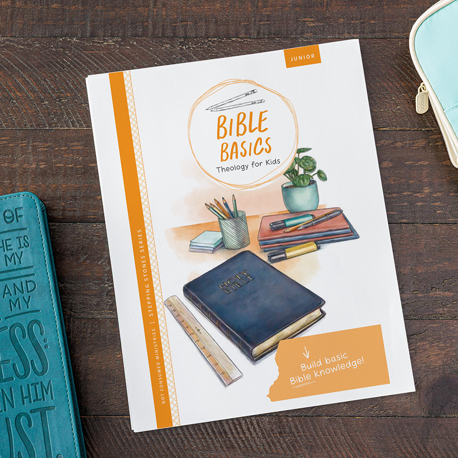 Book titled &#39;Bible Basics Theology for Kids&#39; on a wooden surface