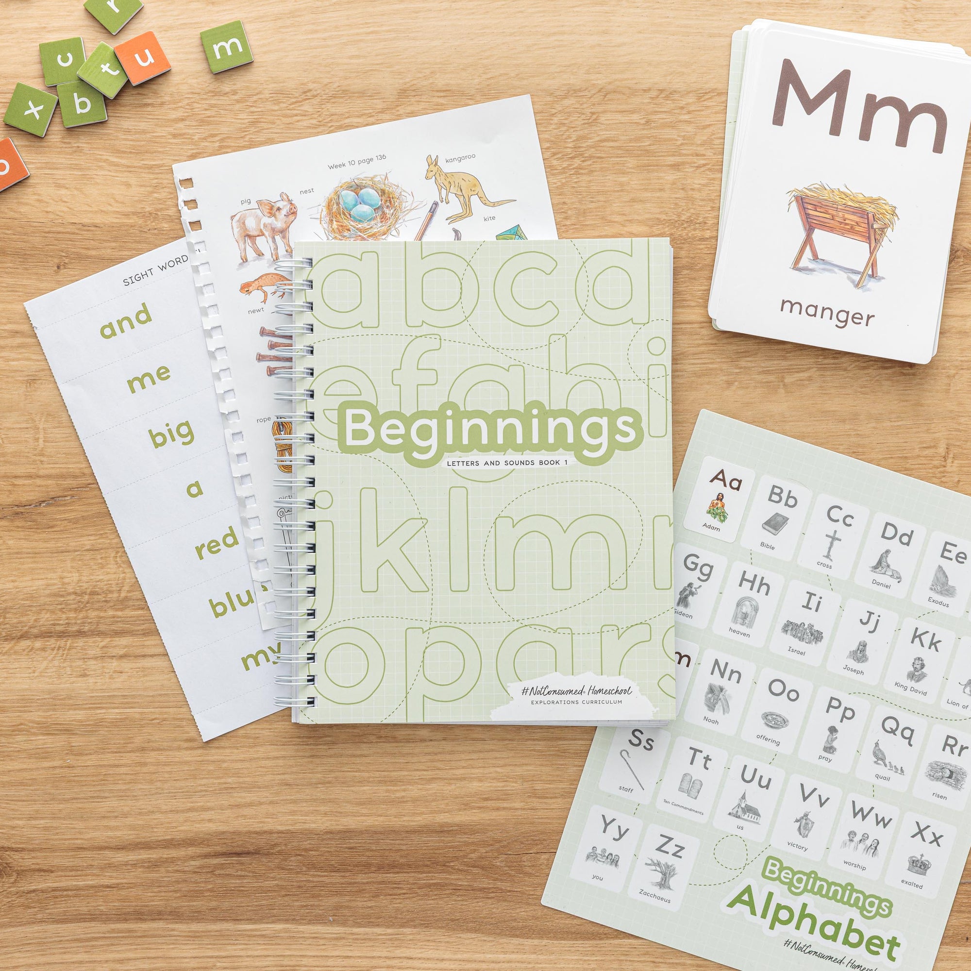 Early reading curriculum