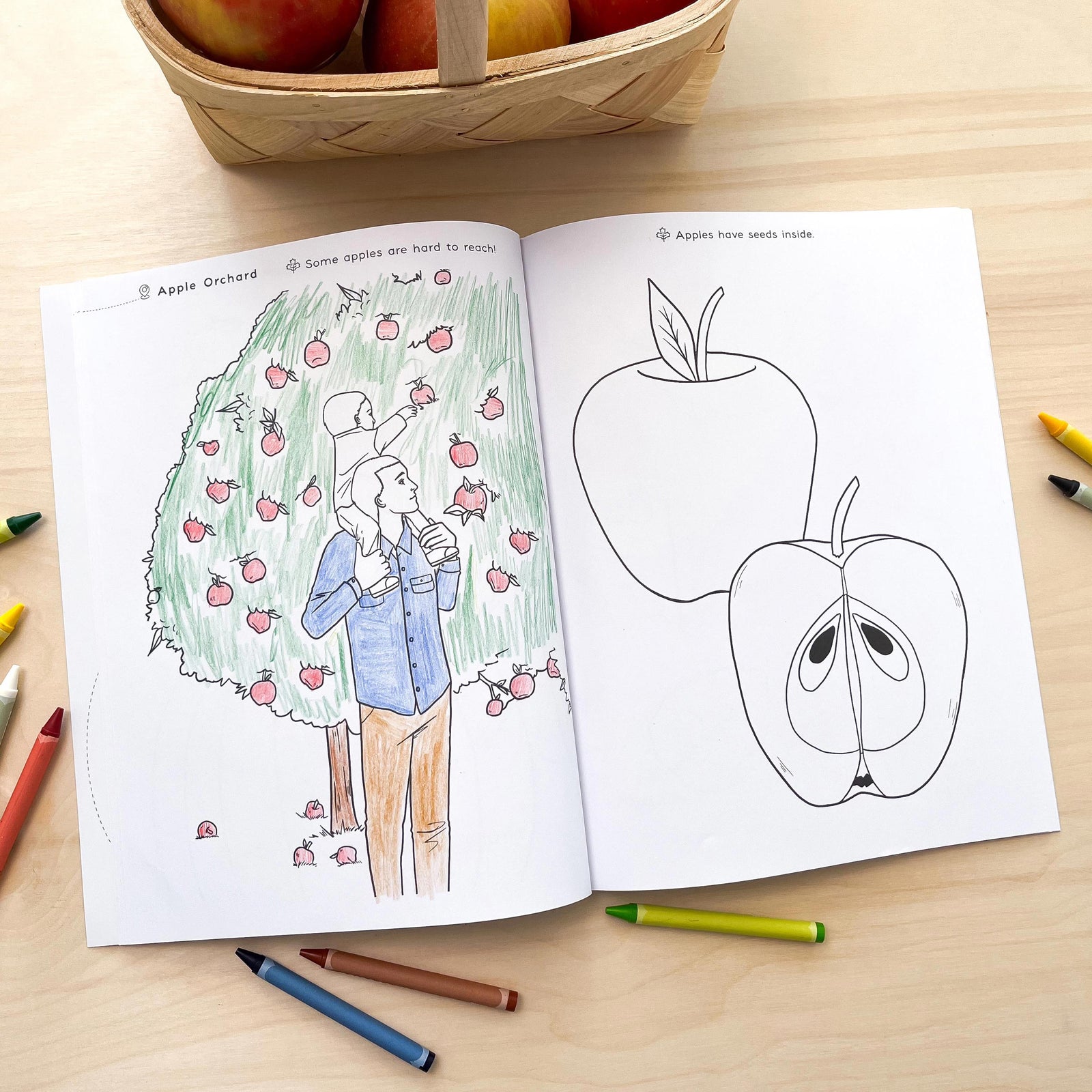 Kindergarten coloring book