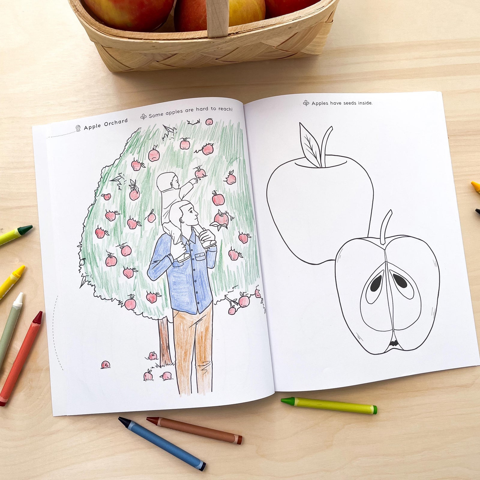 Nature Coloring Book