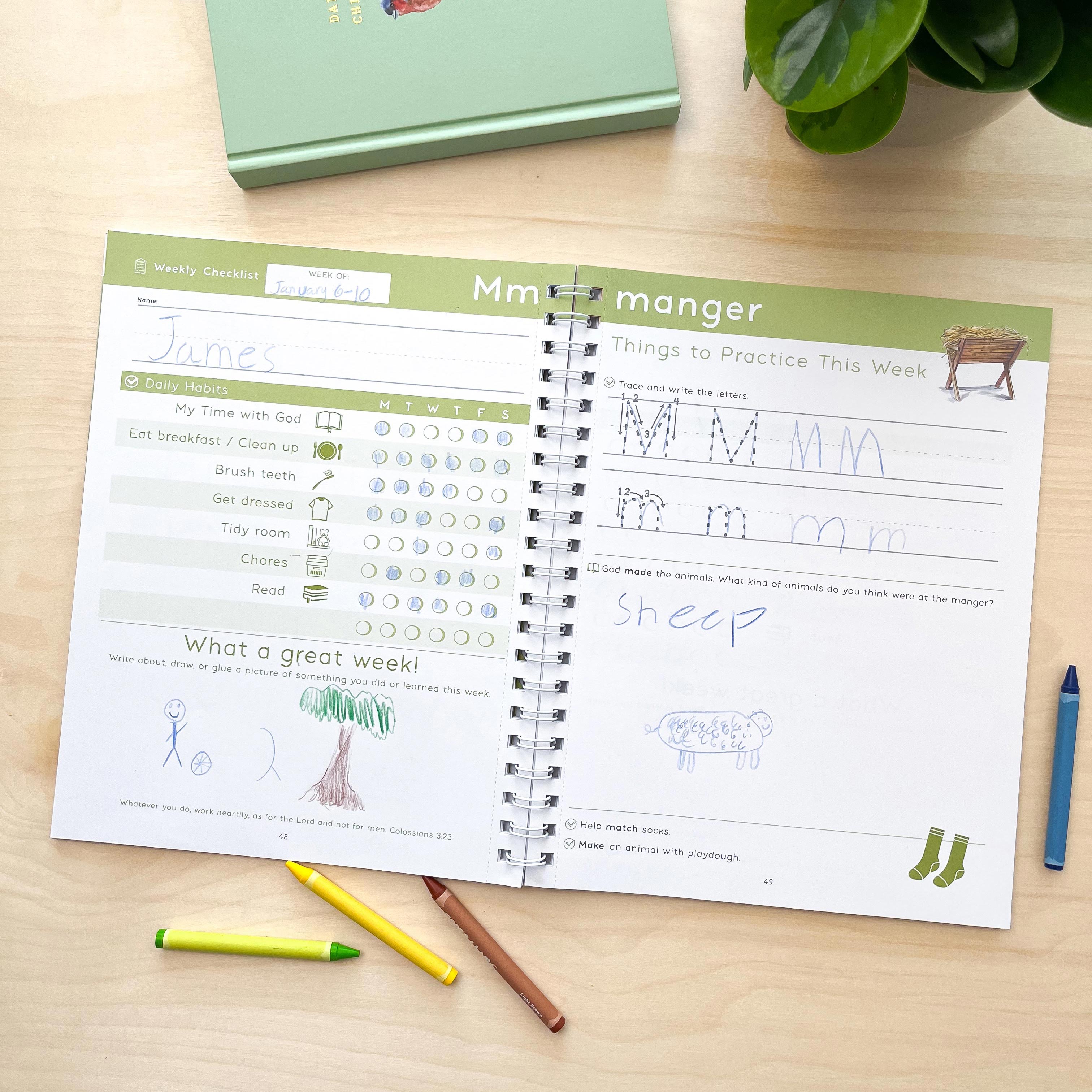 Primary Planner B – Not Consumed