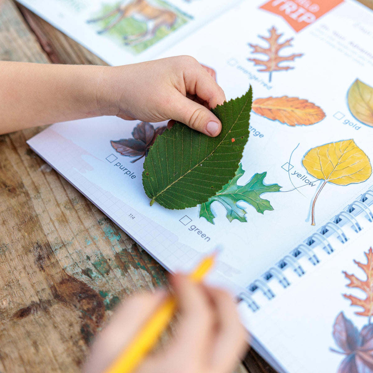 Learning through real life