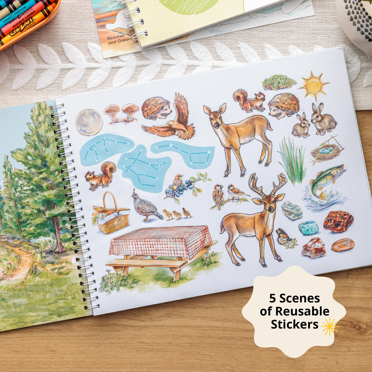 Create your own learning scenes 