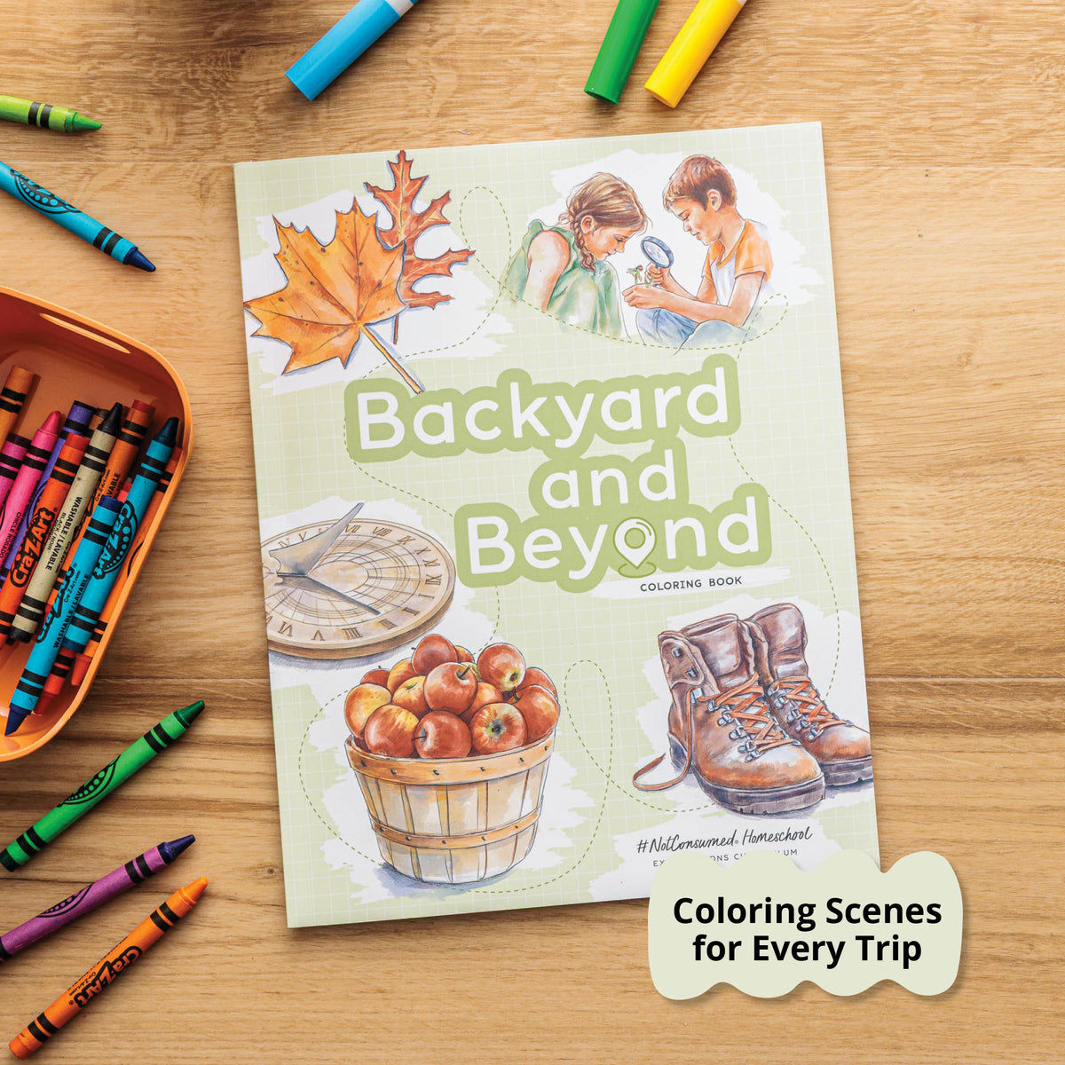 Reinforce learning through play