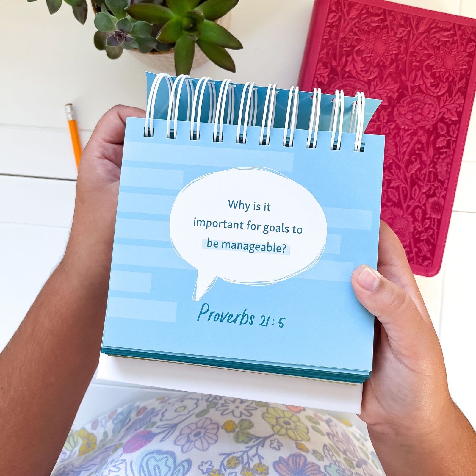 Bible Talk Flipbook Discussion Questions