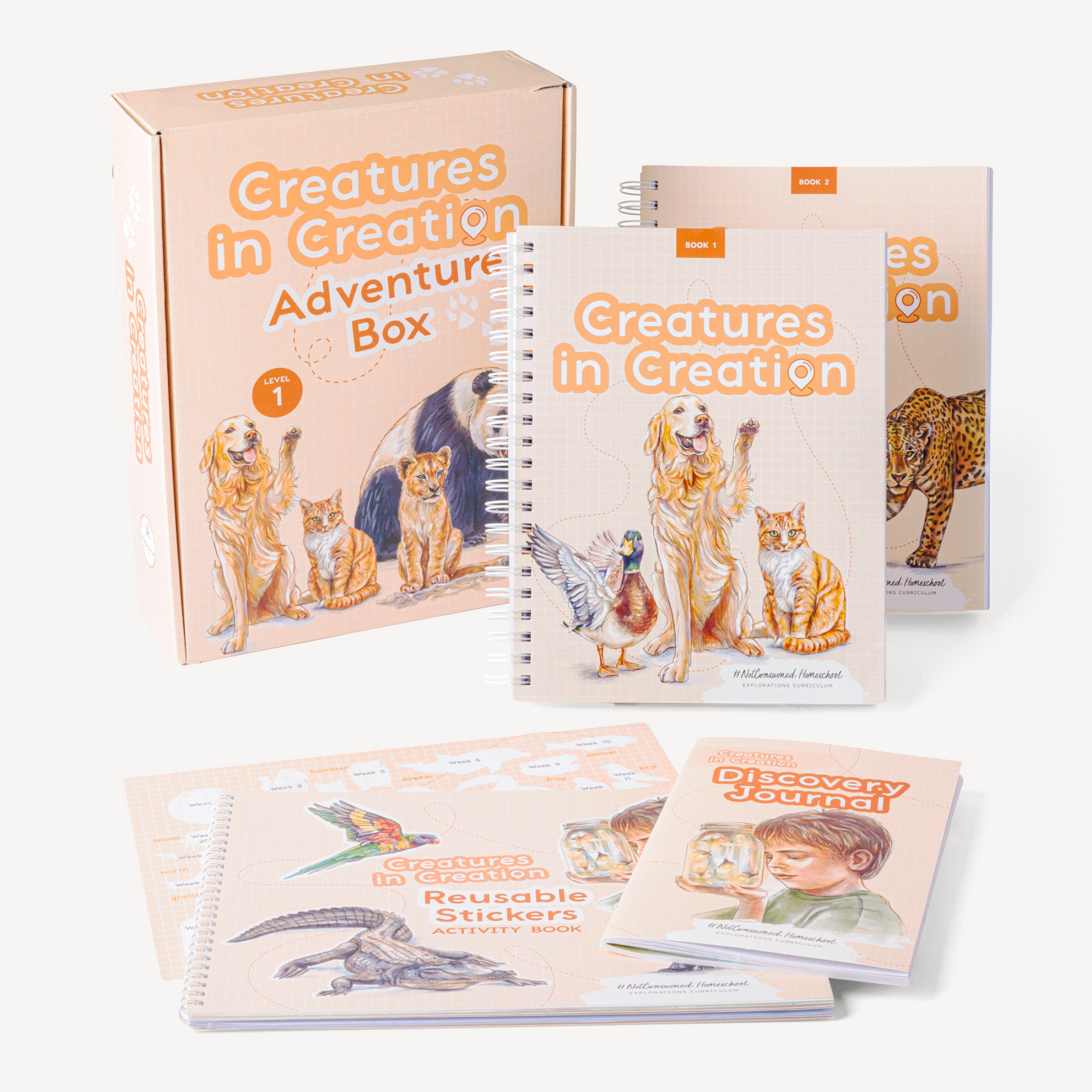 Homeschool Curriculum – Not Consumed