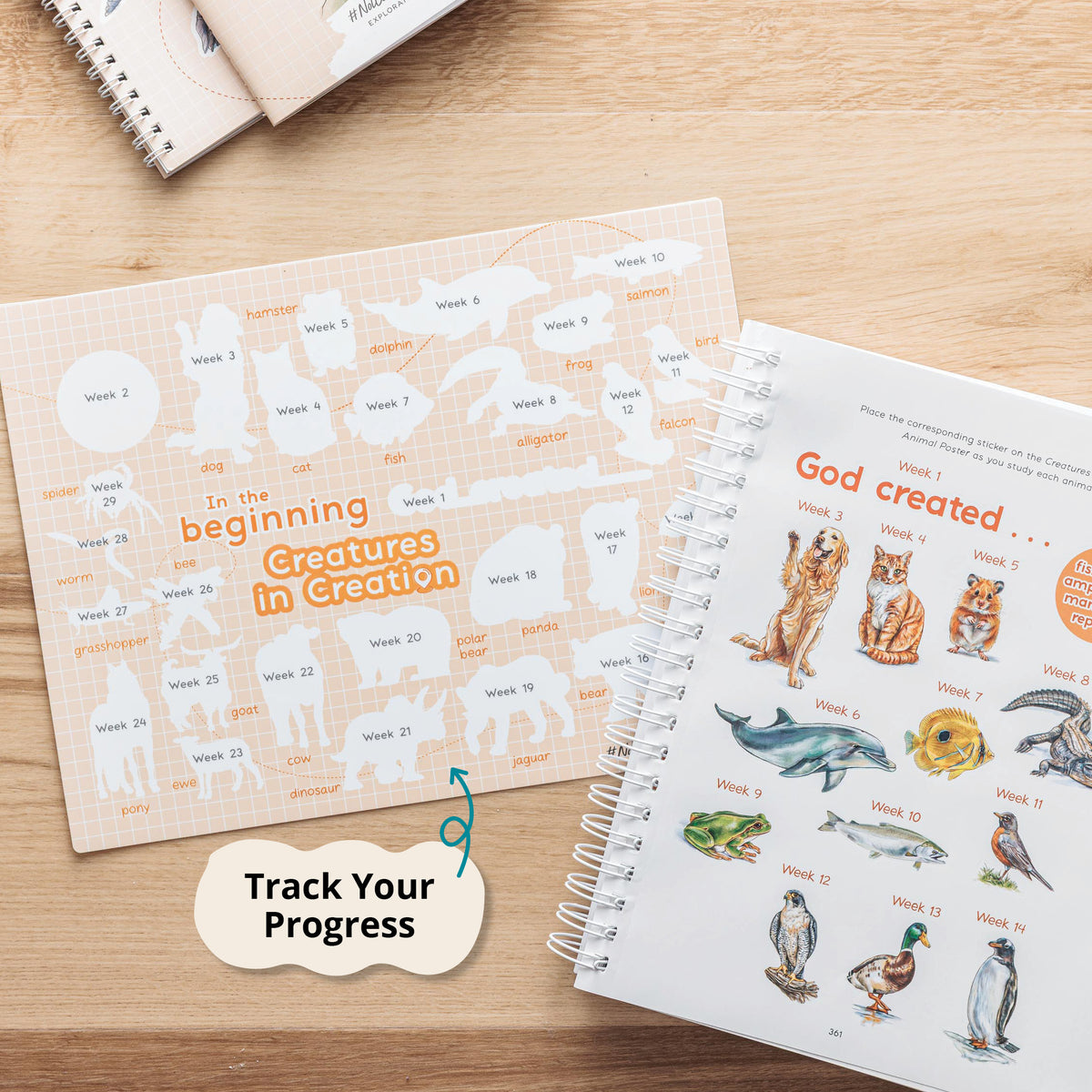 Visual tracker for progress