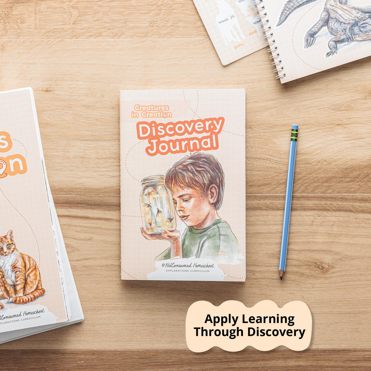 Extra activities for hands-on learning