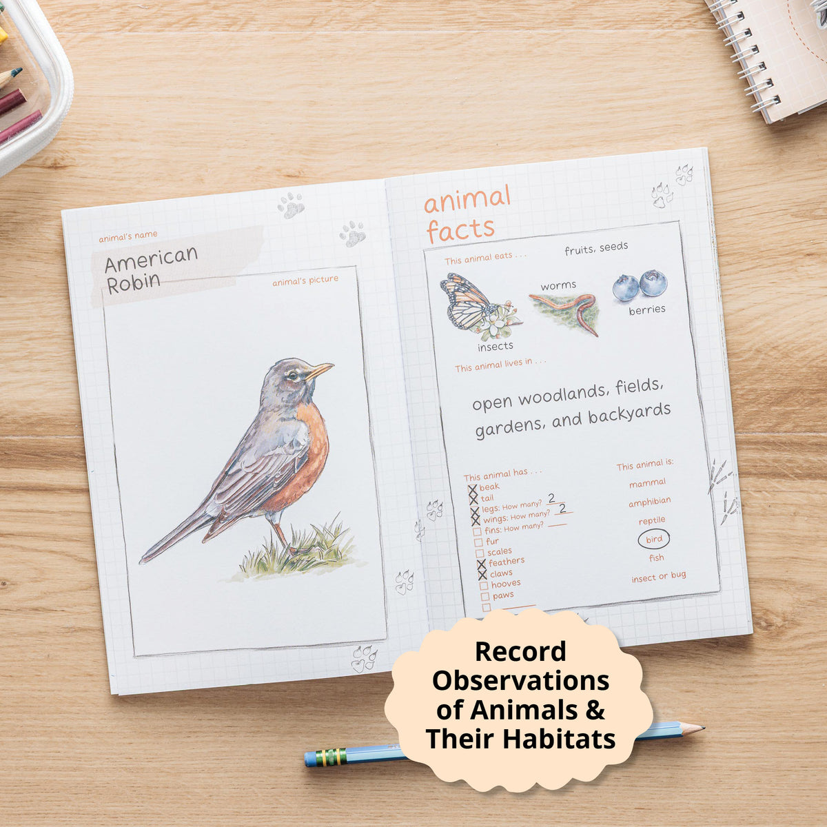 record and observe for first graders