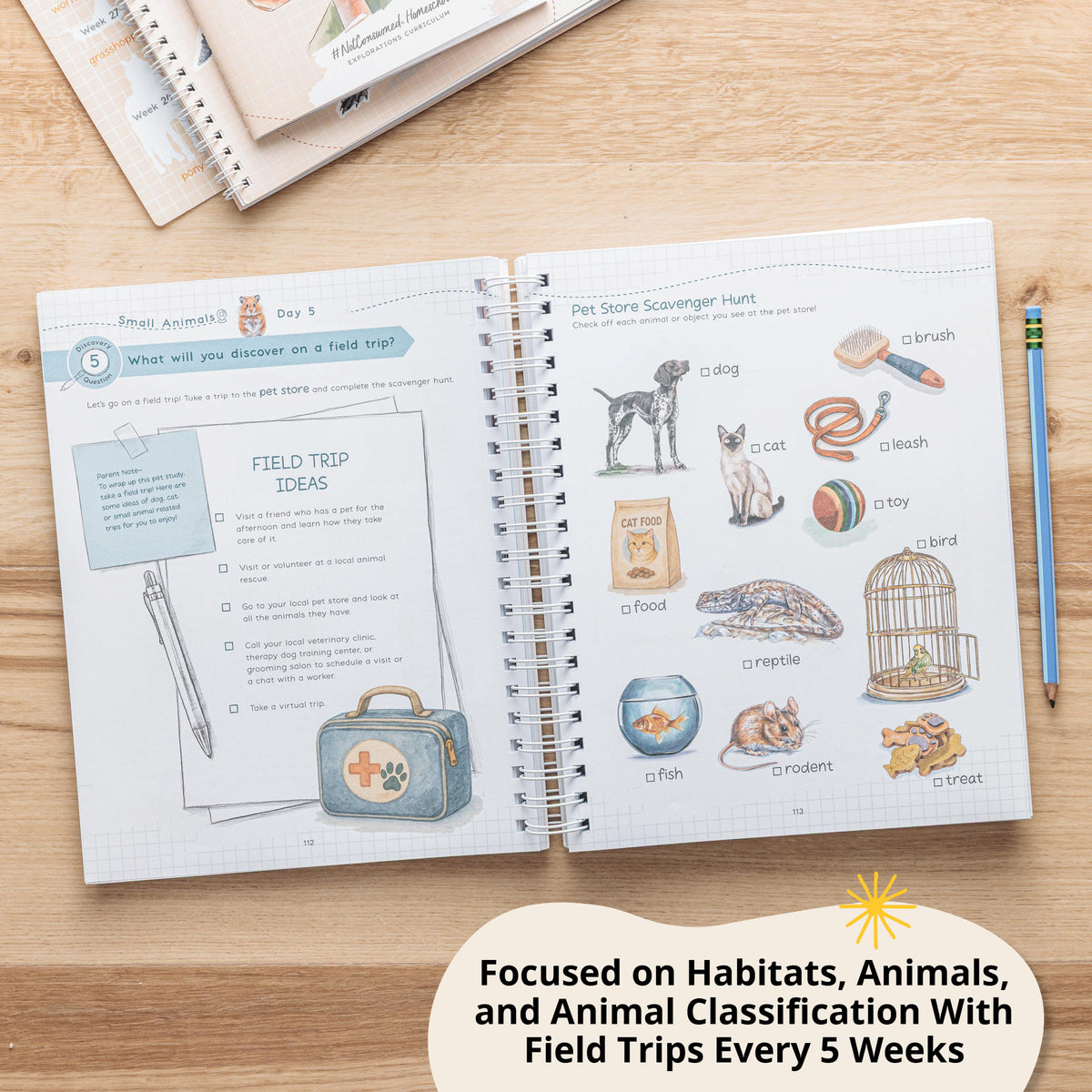 Learning about animals first grade