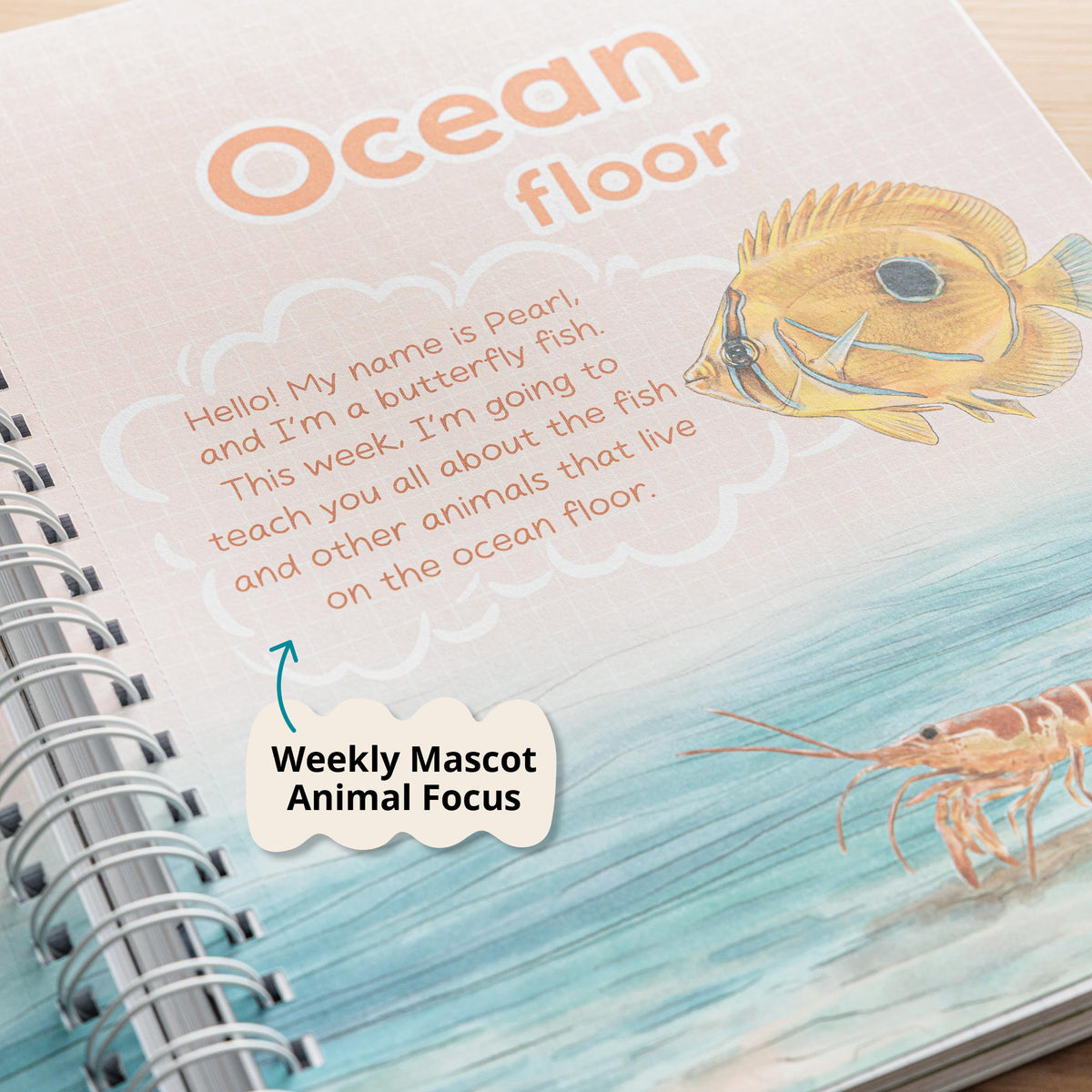 Elementary animal curriculum