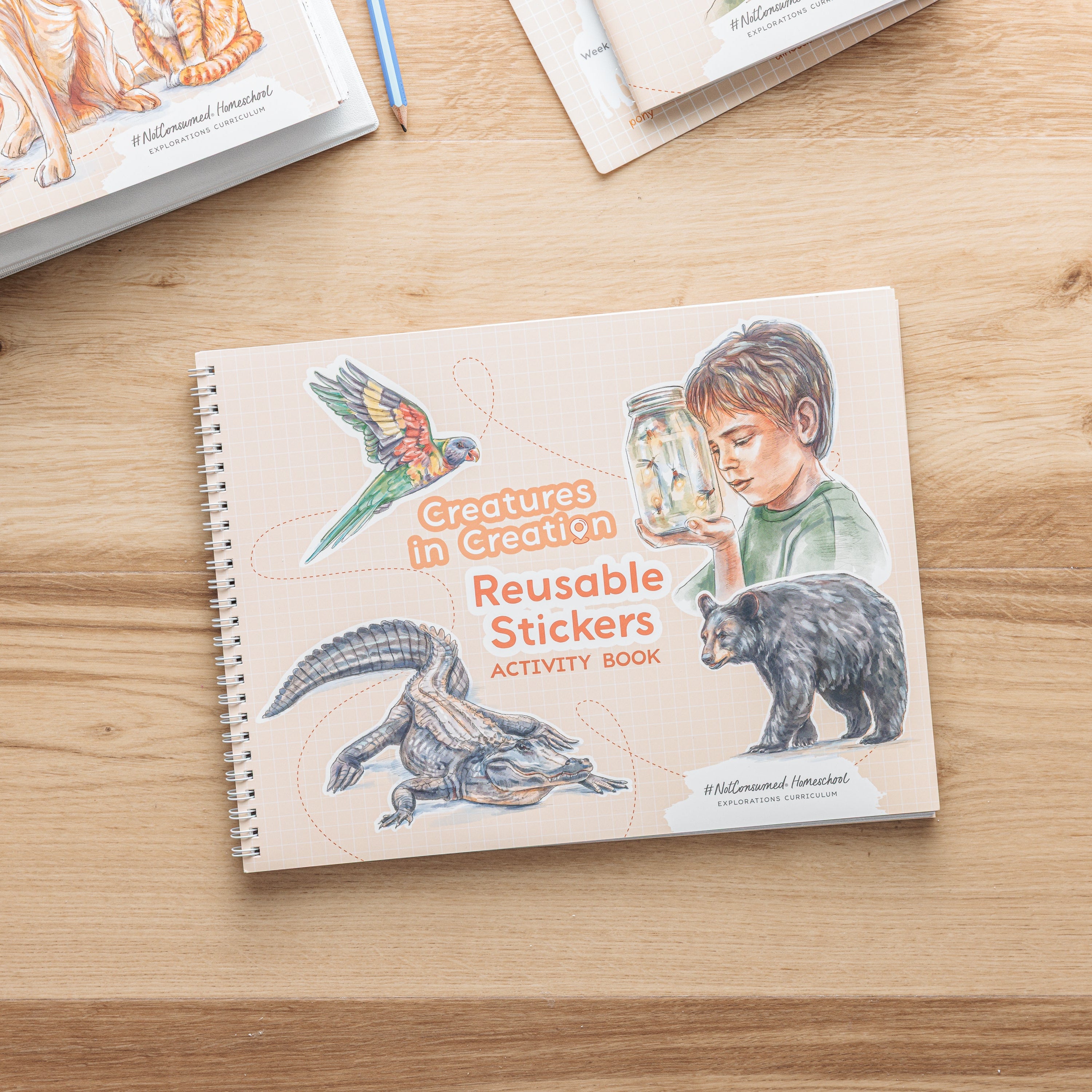 First Grade Curriculum Bundle – Not Consumed