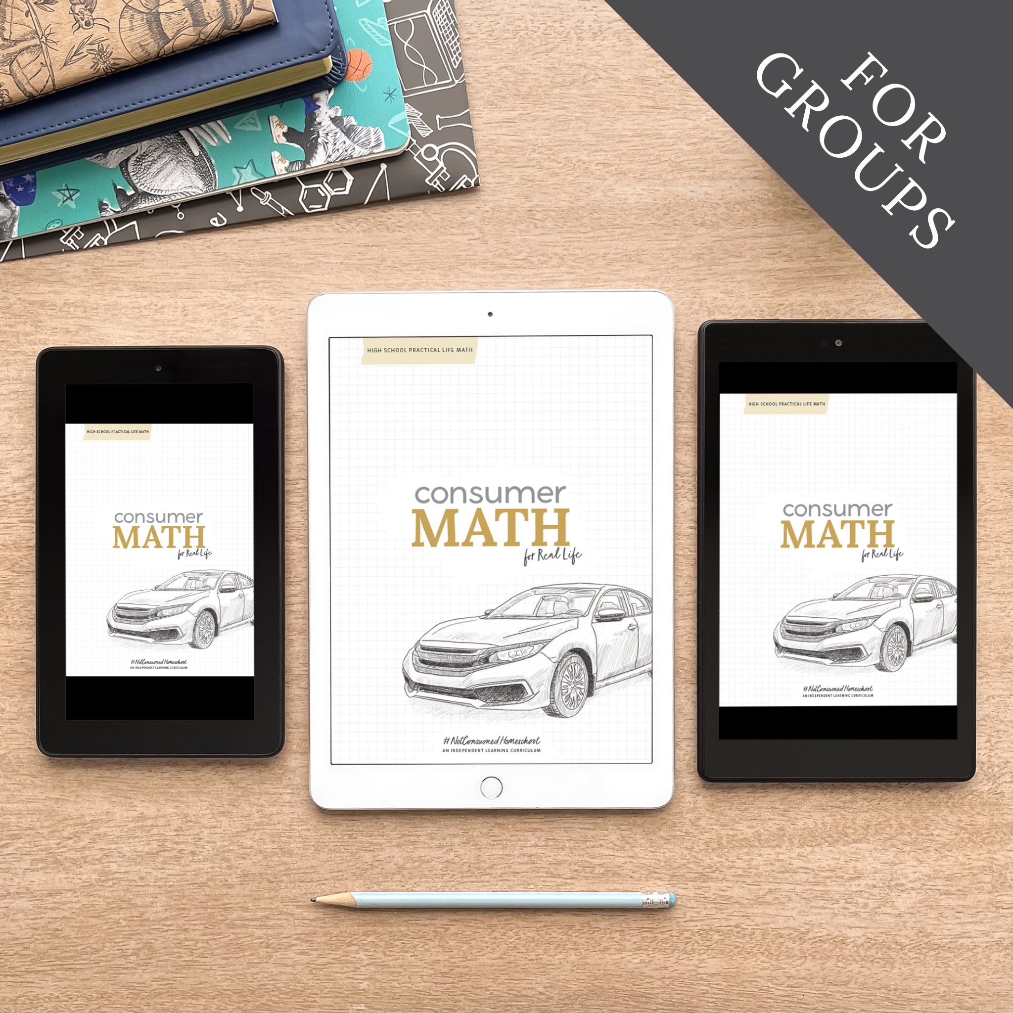 Consumer Math for Real Life (Digital Site License) – Not Consumed