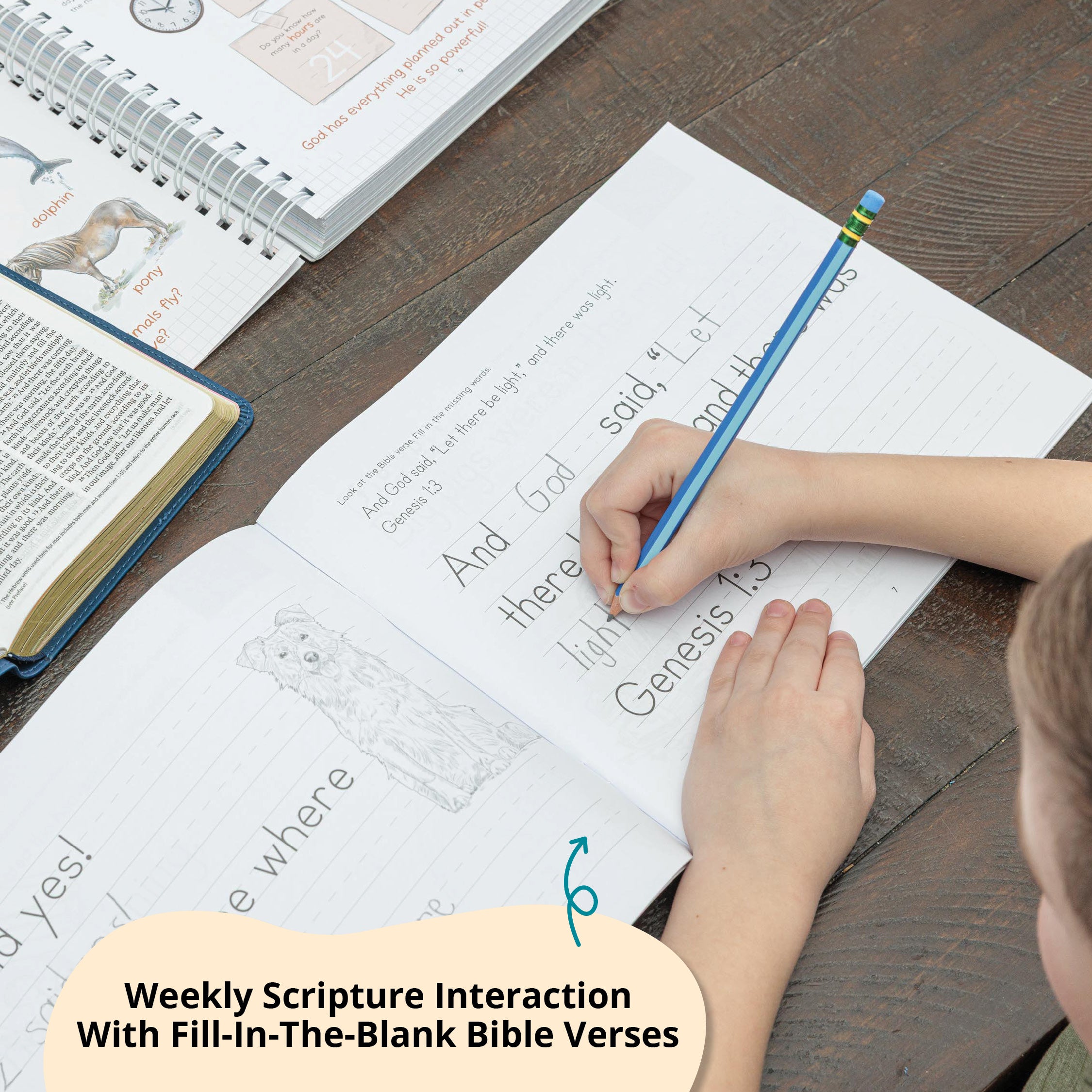 Connections Handwriting Practice – Not Consumed