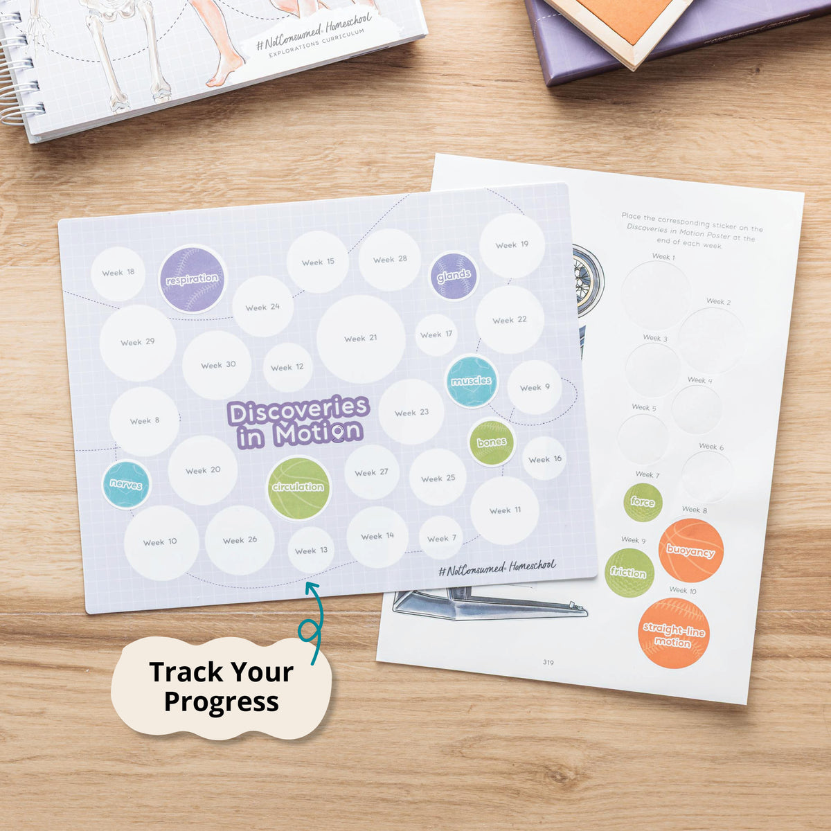 Visual progress tracker 