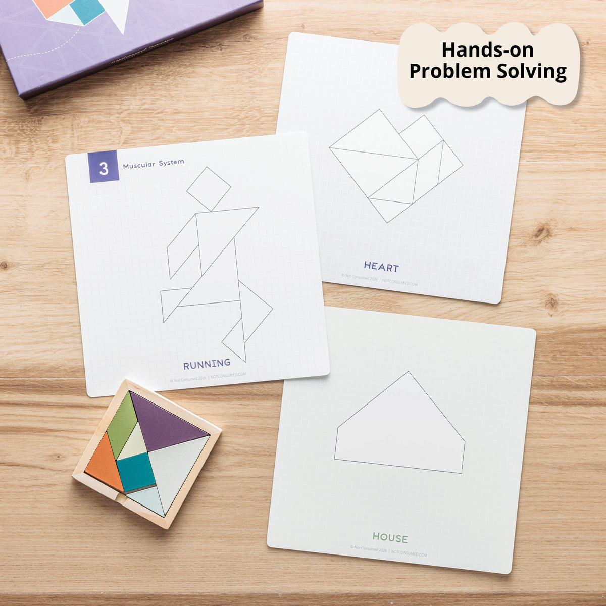 real-world problem solving