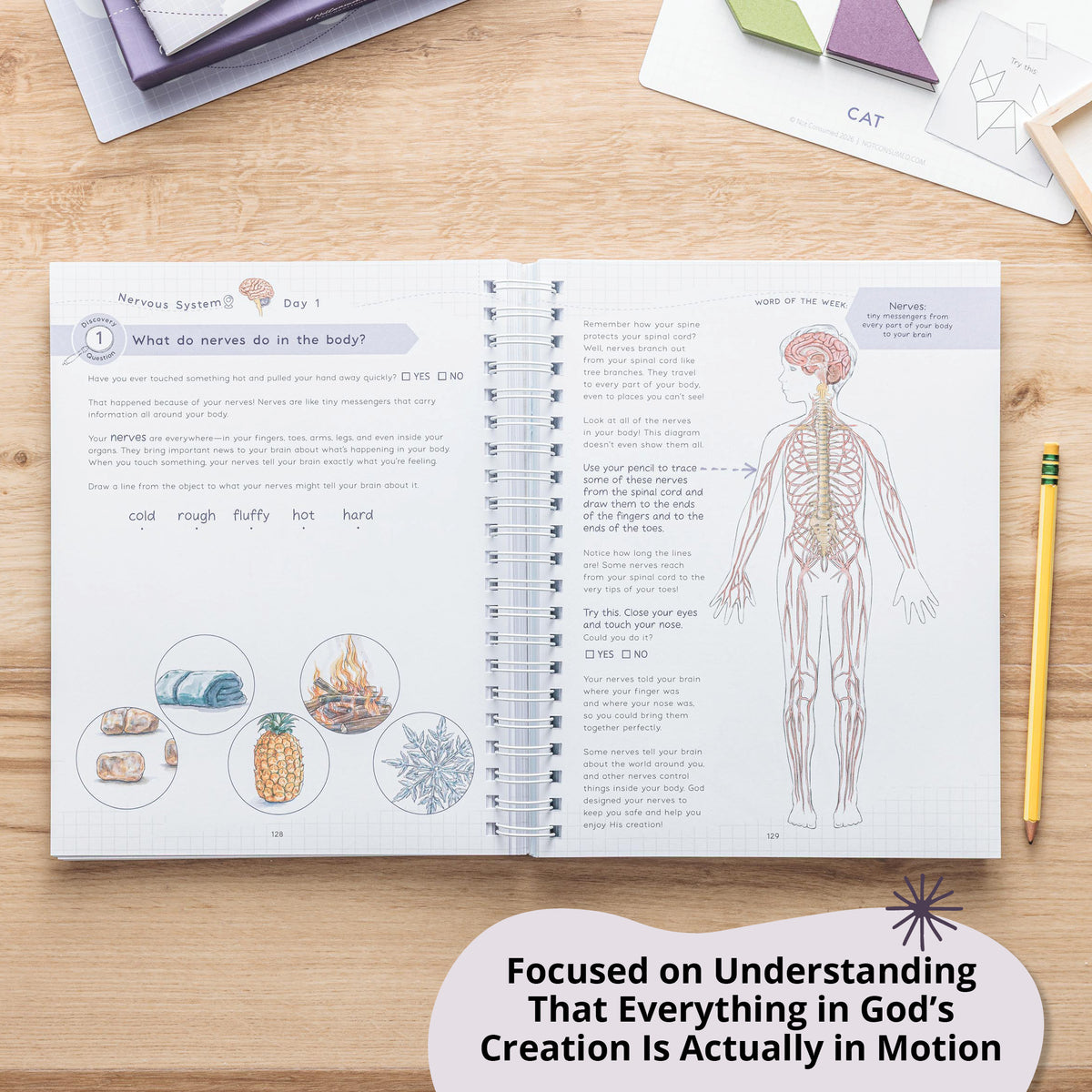 anatomy for 2nd graders