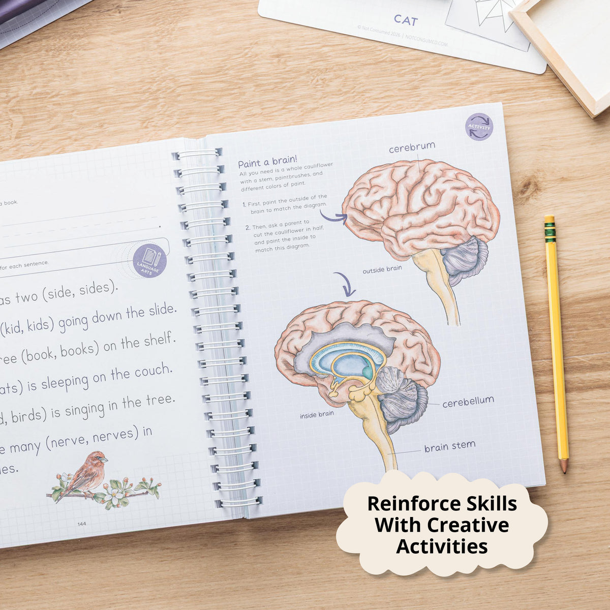 Creative science for elementary students