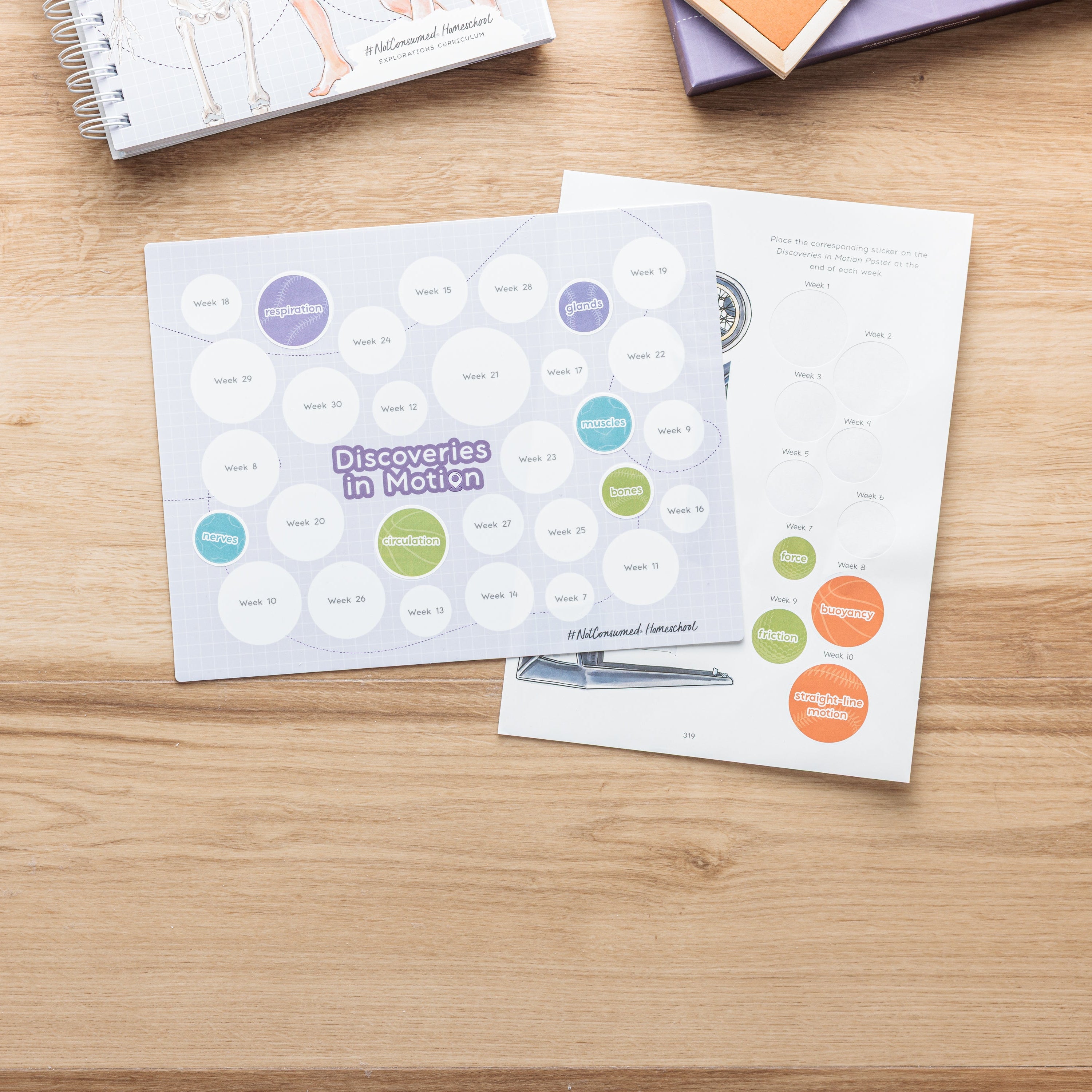 Second Grade Curriculum Bundle – Not Consumed