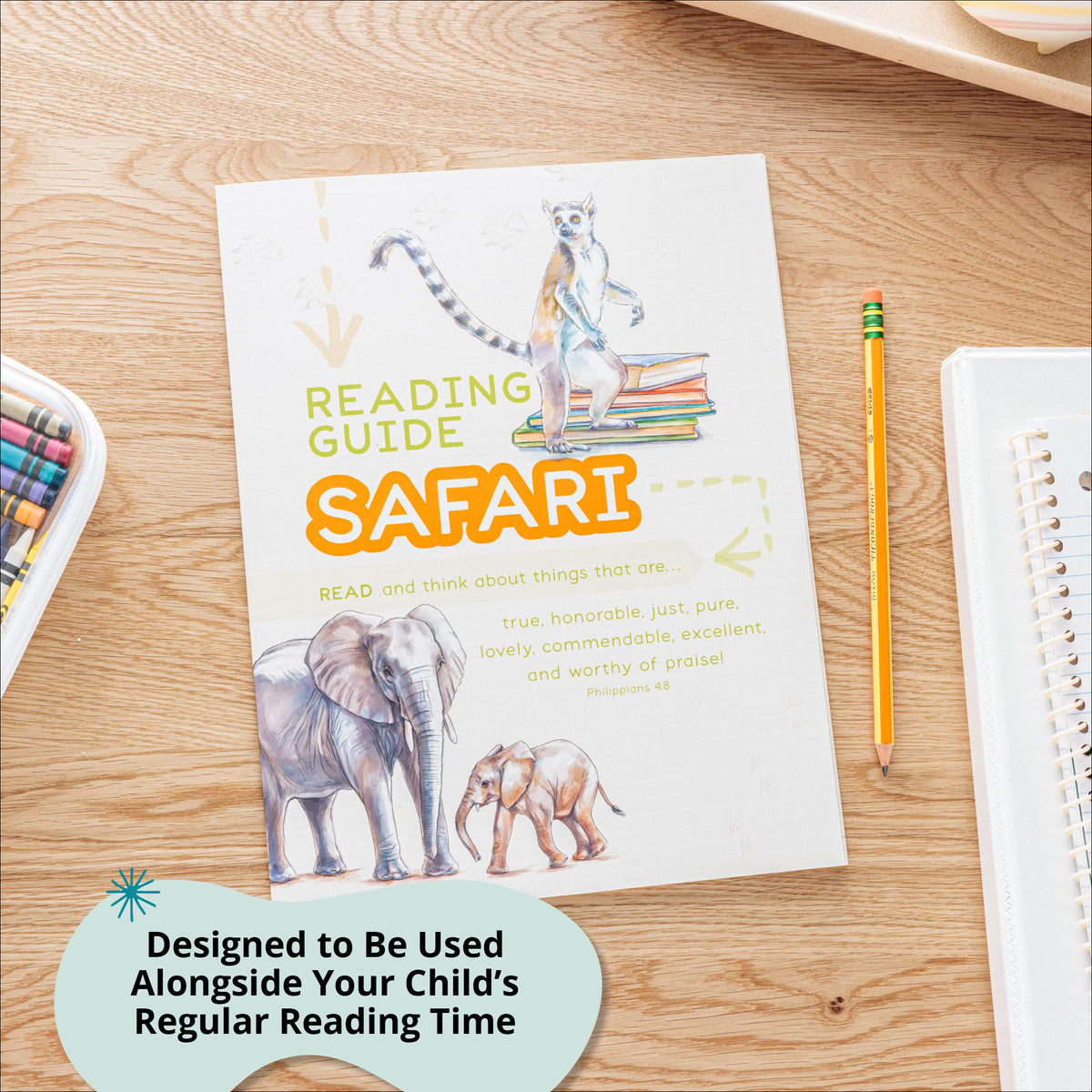 Used during reading time