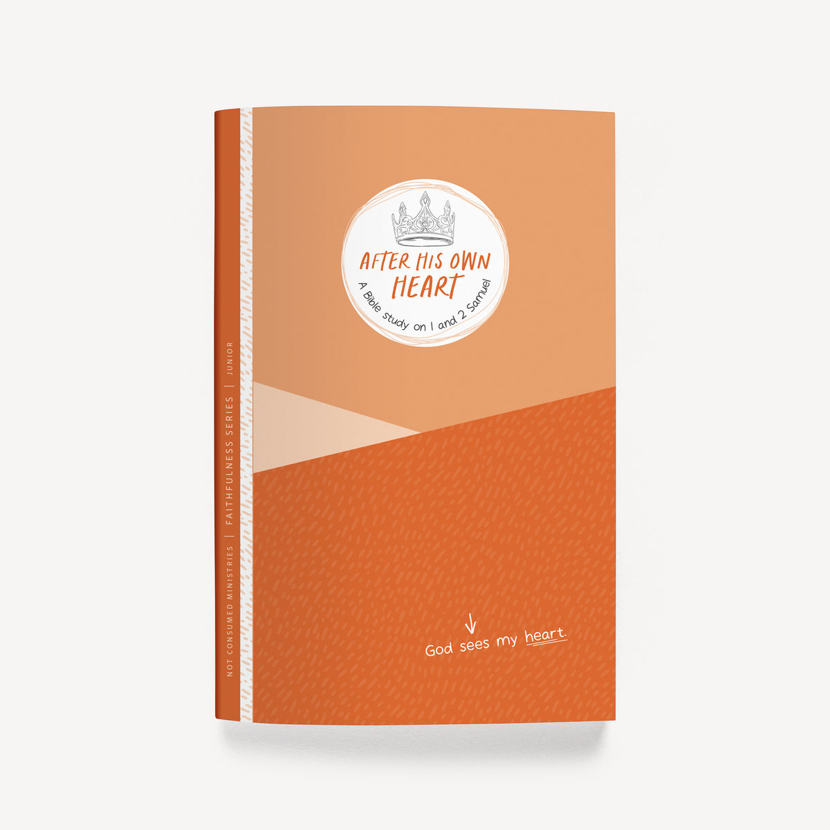After His Own Heart: A Bible Study on 1 and 2 Samuel