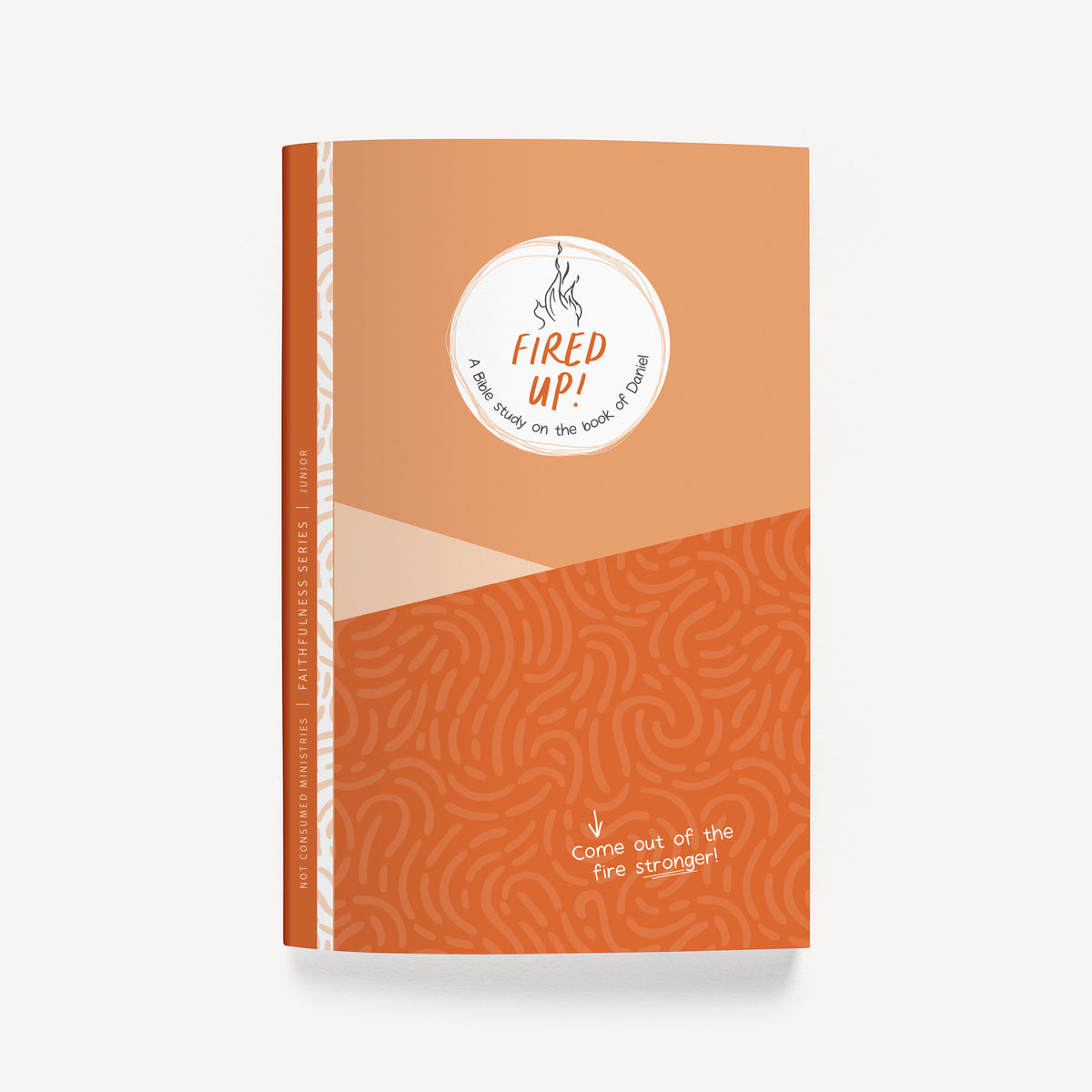 Fired Up!: A Bible Study on the book of Daniel