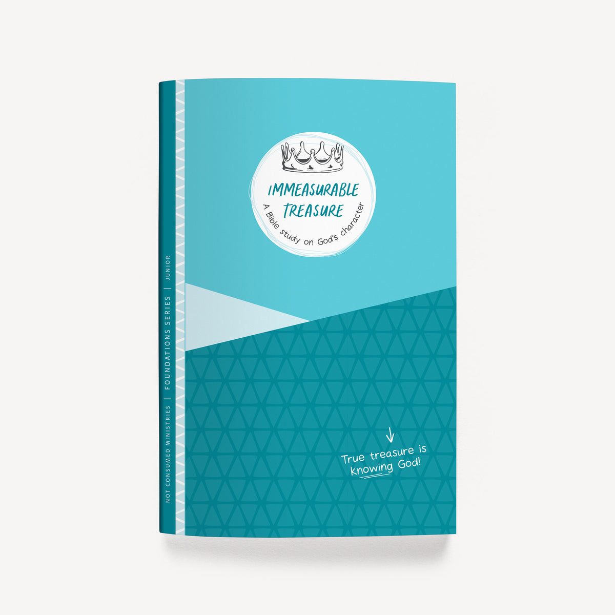 Immeasurable Treasure: A Bible Study on God's Character