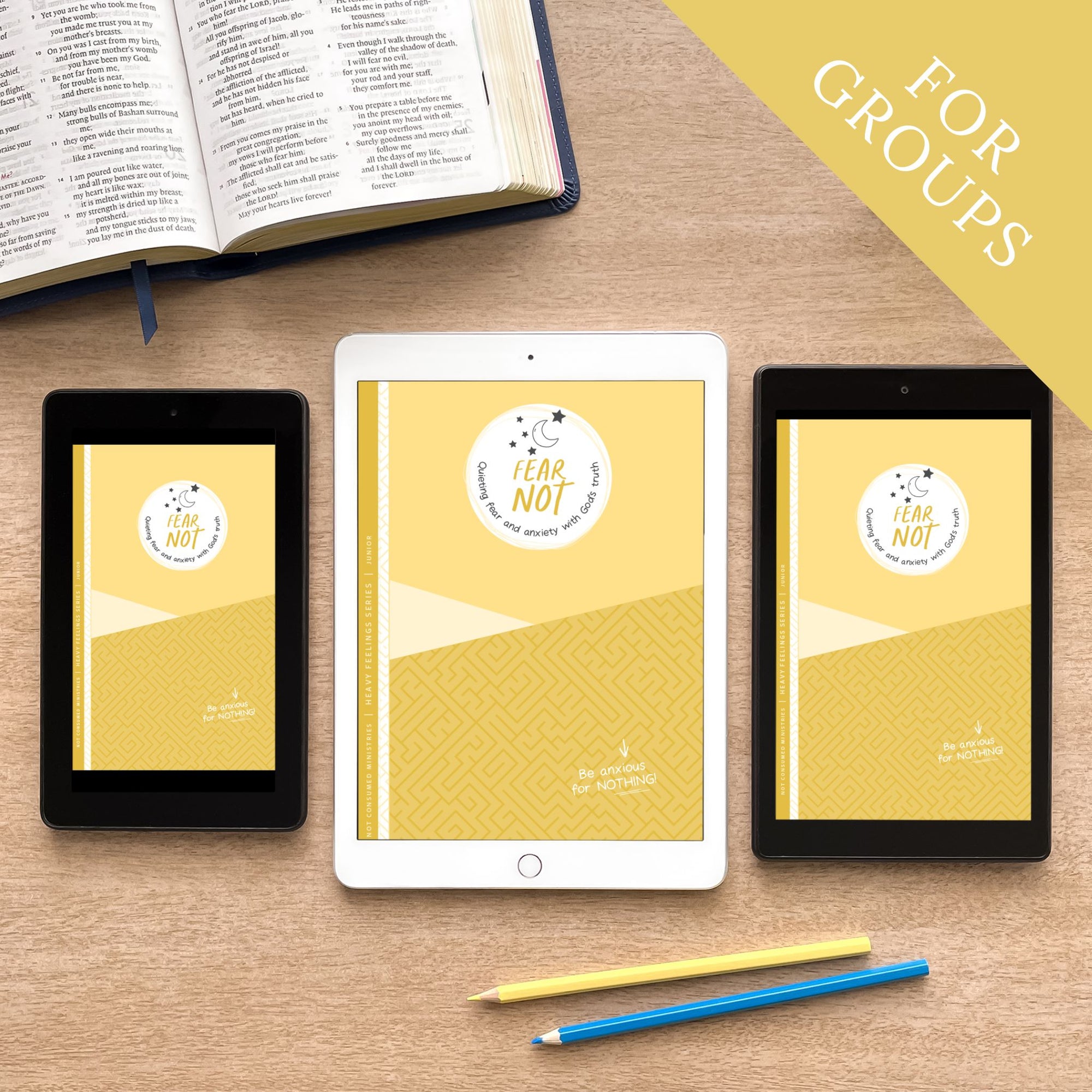 Fear Not Digital Printable Bible Study for Groups