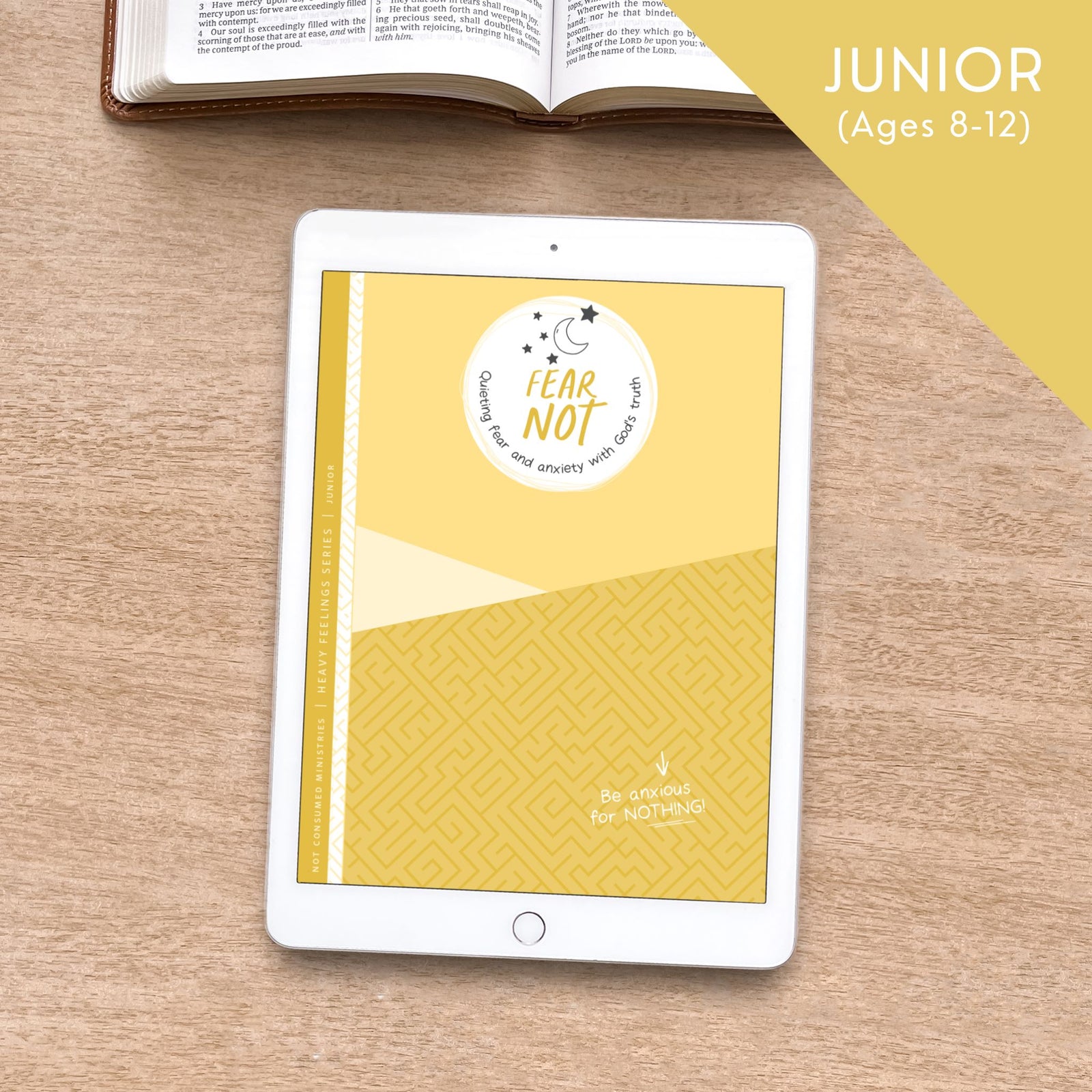 Fear Not Digital Bible Study for kids