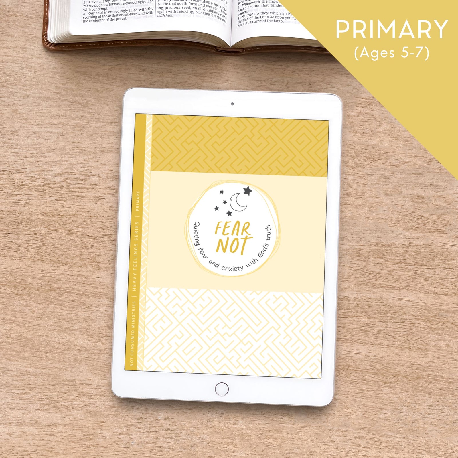 Fear Not Digital Bible Study for children