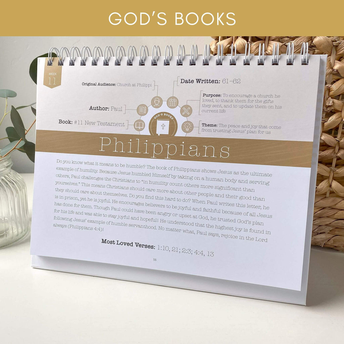 Books of the Bible Faithipedia NT 