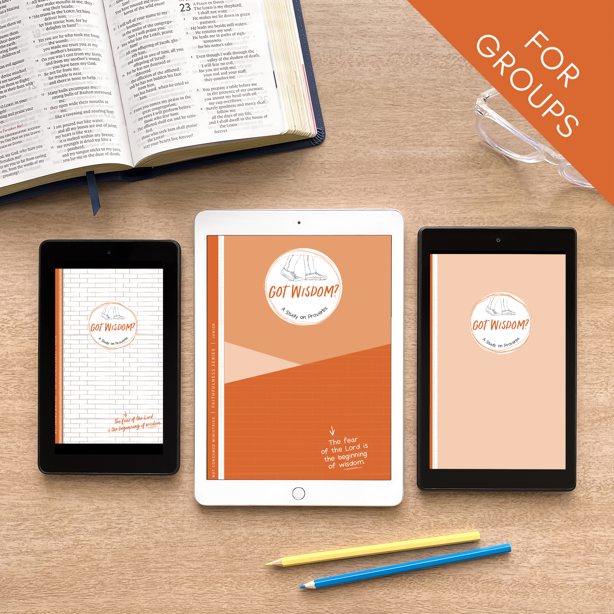 Bible studies for groups