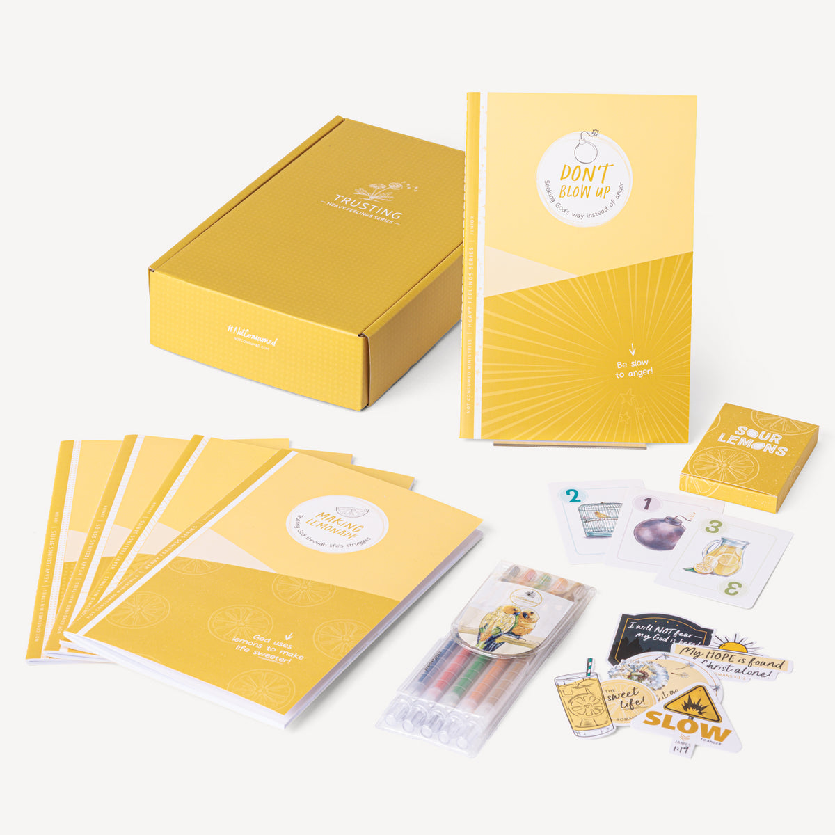 Heavy Feelings Series Bundle